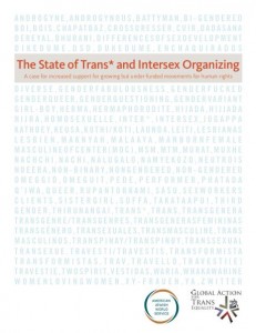 The State of Trans* and Intersex Organizing